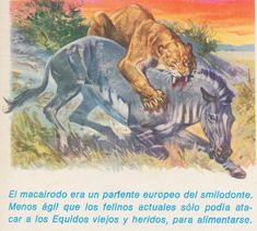 an image of a lion attacking a zebra on the back of a horse in spanish