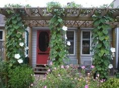 a red front door surrounded by flowers and greenery on a house's porch