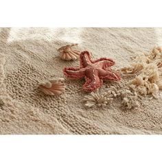 three starfishs and seashells are on the sand