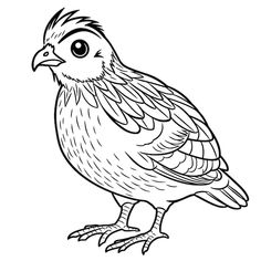 a black and white drawing of a bird