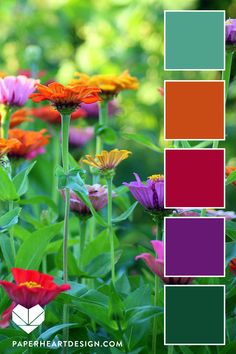 an image of colorful flowers in the garden with text overlay that reads color palette