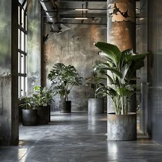 there are many potted plants on the floor in this large room with concrete walls