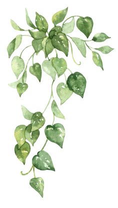 watercolor painting of green leaves on a white background with the words, love is in the air