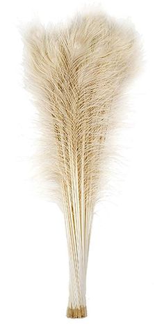 a white vase filled with dried grass on top of a table