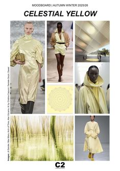 Color Forecasting, Winter Typ, 2024 Fashion Trends, Fashion Forecasting, Easy Hairstyles For Long Hair, Winter Trends