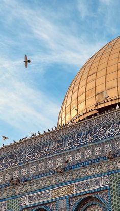 birds are sitting on the roof of a building with a golden dome in the background