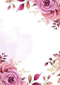 pink roses and leaves on a white background