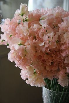 pink carnations in a glass vase on a table