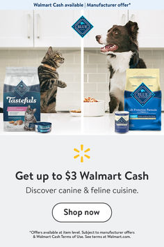 an ad for walmart cash with two dogs and cats in front of the image