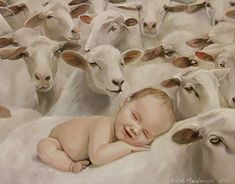 a painting of a baby in the middle of a herd of sheep with their heads together