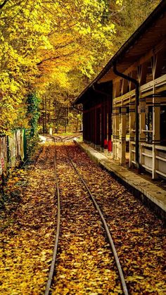 an old train station with autumn leaves on the ground and trees lining the tracks in front of it