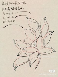 an ink drawing of a flower with chinese writing