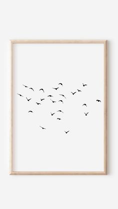 a flock of birds flying in the sky above a white wall with a wooden frame