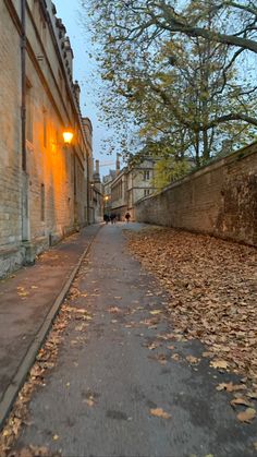 an alley way with leaves on the ground and trees in the background at night time