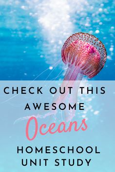 a jellyfish with the words check out this awesome oceans homeschool unit study