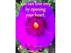 a purple flower with the words you can love only by opening your heart