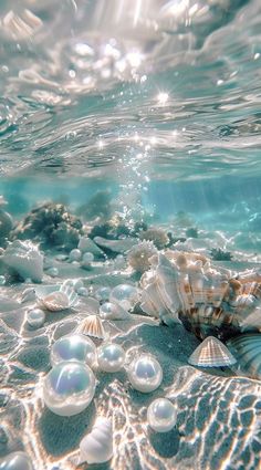 an ocean scene with shells and bubbles in the water, as seen from underwater view