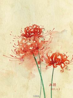 two red flowers are in a vase with watercolor paint