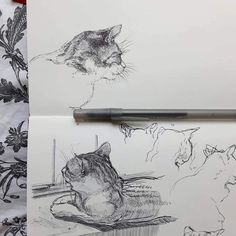 a pen is laying on top of a drawing book next to an image of cats