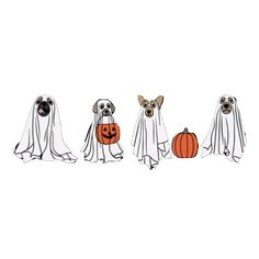 three dogs dressed up in halloween costumes with pumpkins and ghost hats on their heads