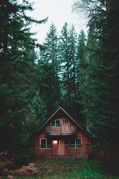 a cabin nestled in the woods surrounded by tall pine trees is lit up at night