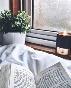 an open book sitting on top of a bed next to a potted plant and window