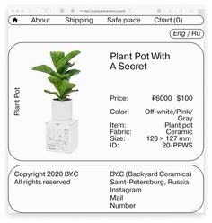 a plant in a white vase with the price label below it, and description for each product