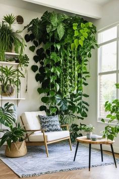 a living room filled with lots of green plants