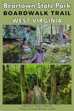 the beartown state park boardwalk trail in west virginia with text overlaying it