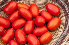 a basket filled with lots of red tomatoes