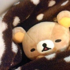 a brown and white teddy bear wrapped in a blanket