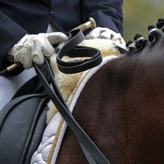 a person riding on the back of a brown horse wearing white gloves and holding a black leash