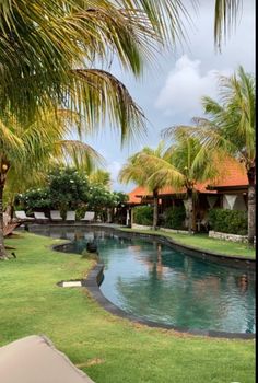 an outdoor pool surrounded by palm trees and lawn chairs with pillows on the grass next to it