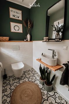 a bathroom with green walls and black and white tile flooring, potted cacti