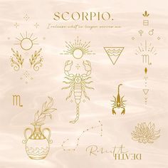 the zodiac signs and symbols are drawn in gold on a beige background with white water