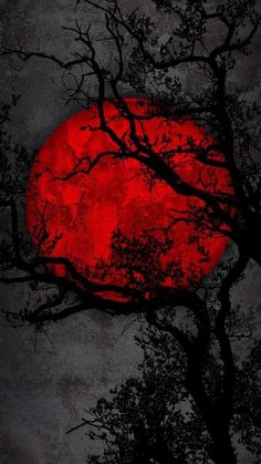 a red moon is seen through the branches of trees