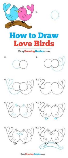 how to draw love birds step by step instructions for kids with pictures and text on the page