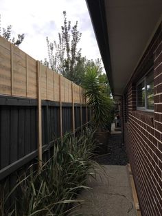 Fence Landscaping Privacy, Fence Ideas Minecraft, Backyard Fence Landscaping, Backyard Fencing Ideas, Fences Design, Landscaping Privacy, Fence Extension, Fencing Design, Privacy Landscaping Backyard