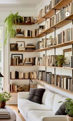 a living room filled with furniture and lots of books on the shelves next to a window