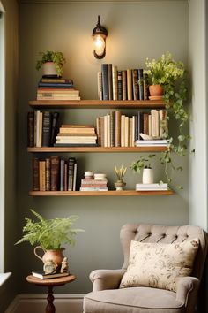 a living room filled with lots of books on shelves next to a chair and potted plant