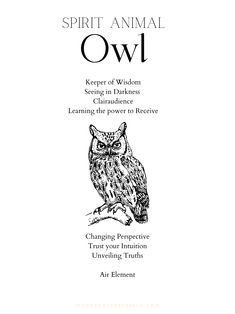 an owl sitting on top of a tree branch in front of the words spirit animal owl