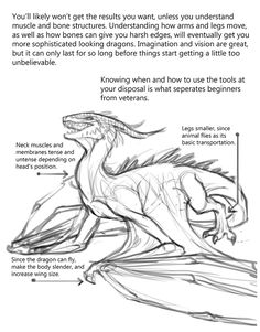 an image of a drawing book page with instructions on how to draw a dragon from scratch