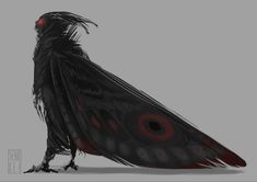 a black bird with red eyes and feathers on it's head, standing in front of