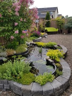 a small pond in the middle of a graveled area with rocks and plants around it