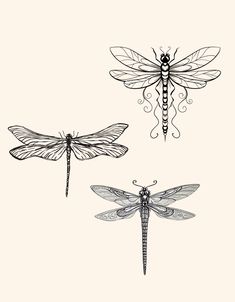 three dragonflys sitting on top of each other