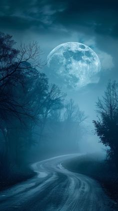 a full moon is seen over a dirt road in the dark night sky with trees on either side