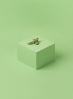 a green box with two small objects on it's side, sitting in front of a light green background