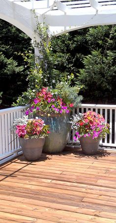 two potted plants are sitting on the deck