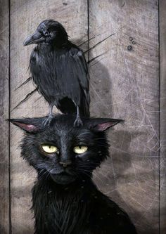 a black cat with yellow eyes and a bird sitting on top of it