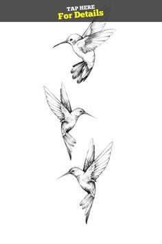 three hummingbirds flying in the air with their wings spread out and one bird has its beak